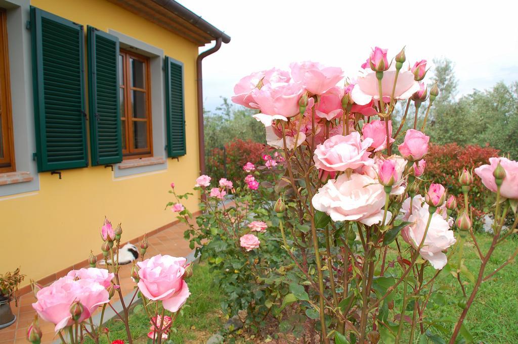 Willa Il Podere Di Giustina Montecarlo Zewnętrze zdjęcie